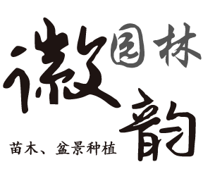 園林景觀(guān)工程施工案例，園林景觀(guān)設(shè)計(jì)案例